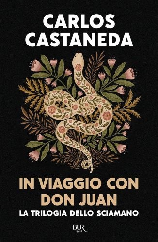 Libro viaggio con don - libro, juan