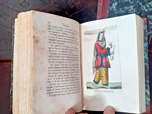 1816 viaggio oliver - viaggio,