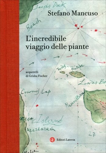 Libro incredibile viaggio - libro,